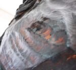 Mountable Hand-Carved Horse Head Trade Sign - Image 10