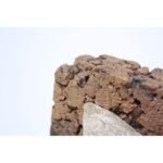 Whimsical Stone and Cork 'Bird' Sculpture - Image 3