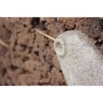 Whimsical Stone and Cork 'Bird' Sculpture - Image 5