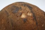 Primitive Cork Mannequin Display Head - Image 17