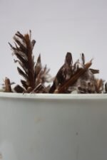 Collection of 32 Vintage Apex Darts With Planters Decorative Storage Bowl - Image 14