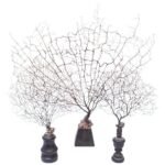 Set of Three Vintage French Coral Fragment Sea Fans