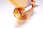 Amber Blown Crackle Glass Fish Sculpture by Rainbow Glass - Image 14