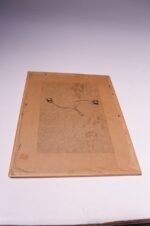 Vintage Southeast Asian Nature Study Ink and Watercolor - Image 3