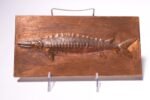 Vintage Copper "Fish" Plaque - Image 3