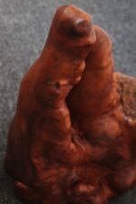 Sculptural Driftwood and Brass Floor Lamp - Image 12