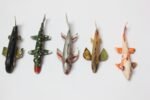 Set of Five Small American Folk Art Fish Decoys - Image 3