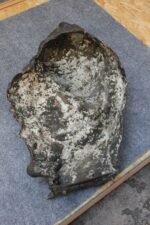 Fortini Cast Bronze Figural Relief Sculpture - Image 6