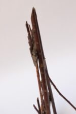 Folk Art Tree Branch Tabletop Easel - Image 13