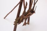 Folk Art Tree Branch Tabletop Easel - Image 19