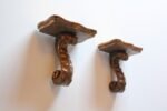 Pair of Neoclassical-Style Giltwood "Scroll" Shelf Brackets - Image 3