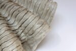 Vintage Plaster and Resin Giant Tridacna Clam Shell Centerpiece/Vide Poche - Image 12
