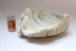 Vintage Plaster and Resin Giant Tridacna Clam Shell Centerpiece/Vide Poche - Image 8