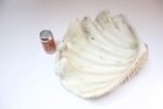 Vintage Plaster and Resin Giant Tridacna Clam Shell Centerpiece/Vide Poche - Image 7