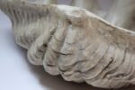 Vintage Plaster and Resin Giant Tridacna Clam Shell Centerpiece/Vide Poche - Image 13