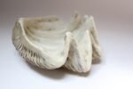 Vintage Plaster and Resin Giant Tridacna Clam Shell Centerpiece/Vide Poche - Image 4
