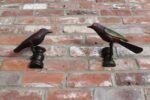 Set of Two German Antique Black Forest Carved and Painted Birds - Image 2