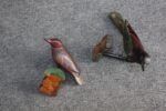 Set of Two German Antique Black Forest Carved and Painted Birds - Image 4
