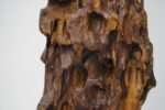 Large Vintage Driftwood Freestanding Floor Sculpture - Image 28