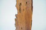 Large Vintage Driftwood Freestanding Floor Sculpture - Image 10