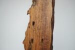Large Vintage Driftwood Freestanding Floor Sculpture - Image 11