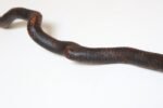 American Folk Art Hand-Carved Wooden Spindly Snake Sculpture - Image 19