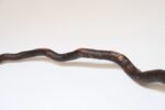 American Folk Art Hand-Carved Wooden Spindly Snake Sculpture - Image 18