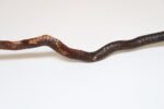 American Folk Art Hand-Carved Wooden Spindly Snake Sculpture - Image 24