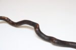 American Folk Art Hand-Carved Wooden Spindly Snake Sculpture - Image 22