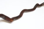 American Folk Art Hand-Carved Wooden Spindly Snake Sculpture - Image 27