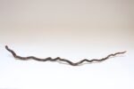American Folk Art Hand-Carved Wooden Spindly Snake Sculpture - Image 3
