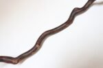American Folk Art Hand-Carved Wooden Spindly Snake Sculpture - Image 25