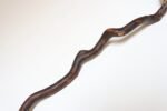 American Folk Art Hand-Carved Wooden Spindly Snake Sculpture - Image 31
