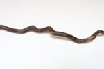 American Folk Art Hand-Carved Wooden Spindly Snake Sculpture - Image 28