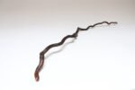 American Folk Art Hand-Carved Wooden Spindly Snake Sculpture - Image 7