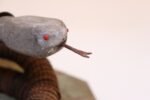 Vintage Folk Art Hand-Carved Wood and Bottlecap Snake on Octagonal Base - Image 17