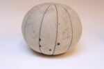 Collection of Five Vintage European Leather Medicine Balls - Image 25