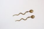 Pair of Antique Brass Snake-Form Serpentine Demitasse Spoons - Image 6