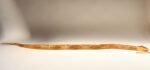 Long Folk Art Articulated Flexible Carved and Hand-Painted Snake Sculpture - Image 9