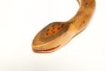 Long Folk Art Articulated Flexible Carved and Hand-Painted Snake Sculpture - Image 24
