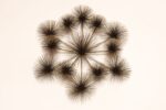 Large Brutalist "Pom Pom" Brass Wall Sculture by Curtis Jere Signed and Dated - Image 4