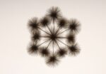 Large Brutalist "Pom Pom" Brass Wall Sculture by Curtis Jere Signed and Dated - Image 5