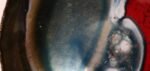 Italian Modern Enamel on Copper "Apple" Dish by Rame d'Arte Lavorazione Laurana - Image 17