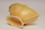 Art Deco Matte Yellow and Glossy Blue Ceramic Console Bowl by Cowan Pottery - Image 8