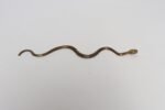 Art Deco Hammered Cast Brass Snake Form Serpentine Sculpture - Image 5