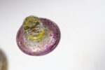 Vintage Bohemian Czechoslovakian Glass Powder or Trinket Jar with Crystal Finial - Image 20