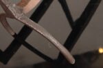 Pair of French Folk Art Hand-Forged Abstract Figural Zoomorphic Andirons - Image 10