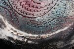 Large Vintage Enamel on Copper Sgraffito Peacock Decorative Plate by Arpad Rosti - Image 13